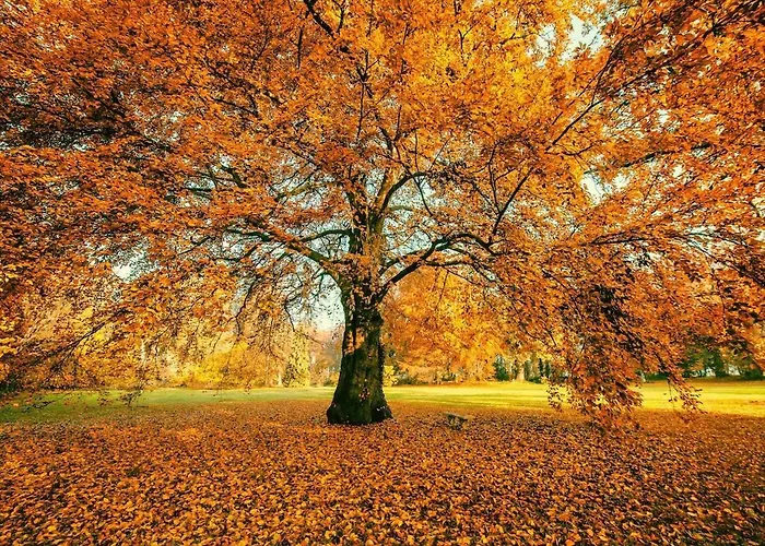 Schloss Dretzel Penzion