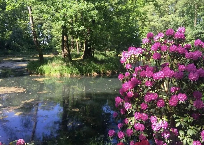 Schloss Dretzel Penzion Gladau